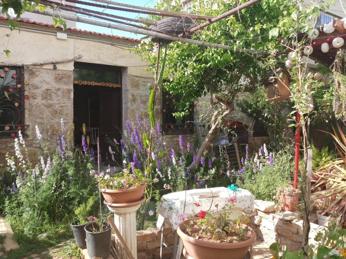 Mystery Garden Guest House Famagusta  Exteriör bild