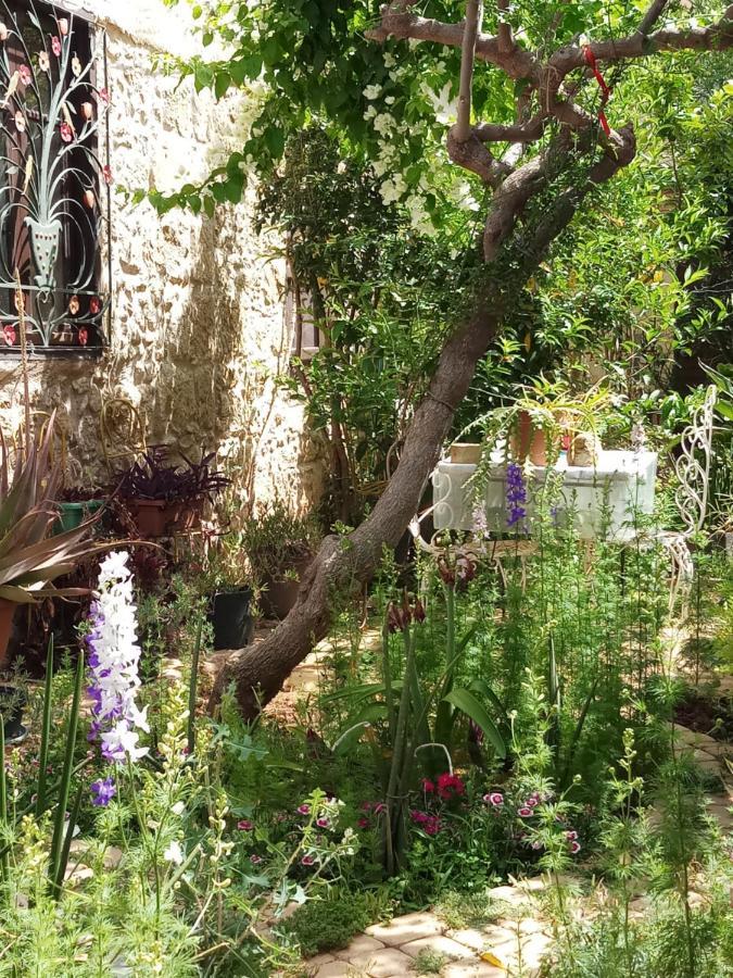 Mystery Garden Guest House Famagusta  Exteriör bild