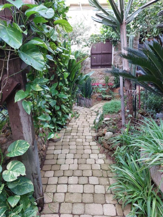 Mystery Garden Guest House Famagusta  Exteriör bild