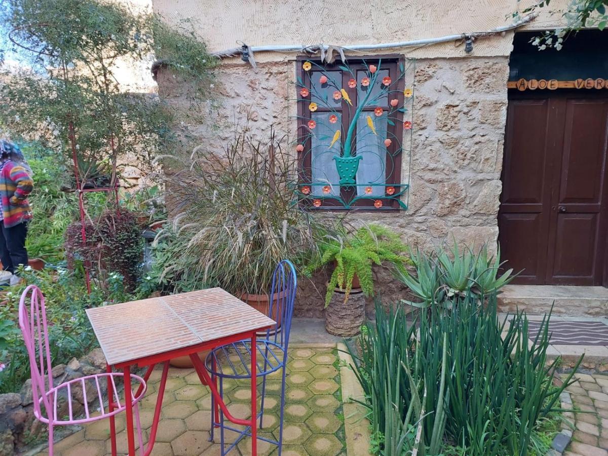 Mystery Garden Guest House Famagusta  Exteriör bild