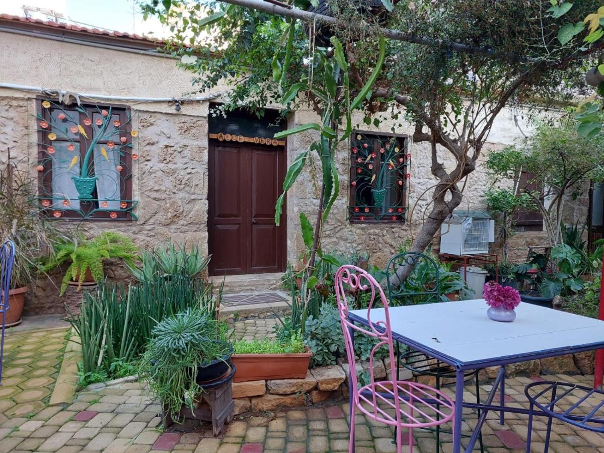Mystery Garden Guest House Famagusta  Exteriör bild