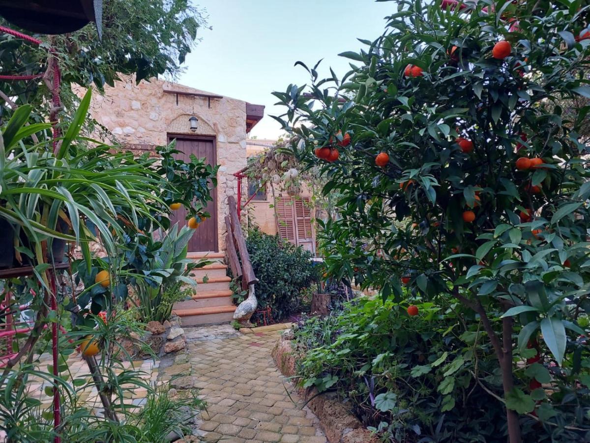 Mystery Garden Guest House Famagusta  Exteriör bild