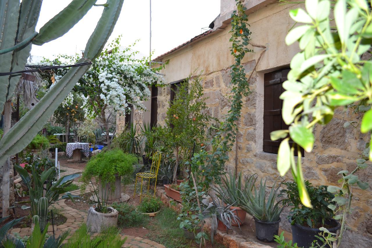 Mystery Garden Guest House Famagusta  Exteriör bild
