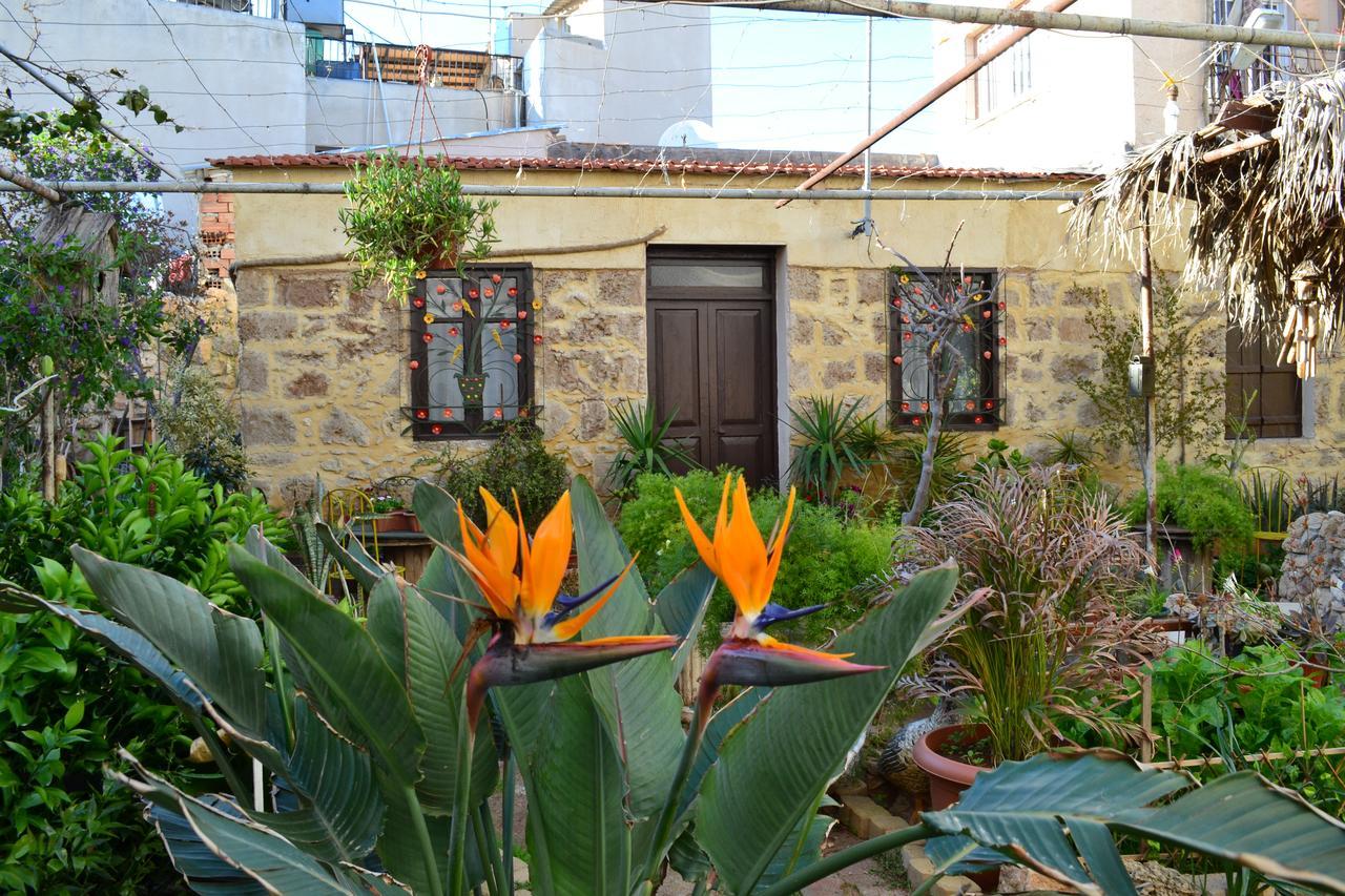 Mystery Garden Guest House Famagusta  Exteriör bild