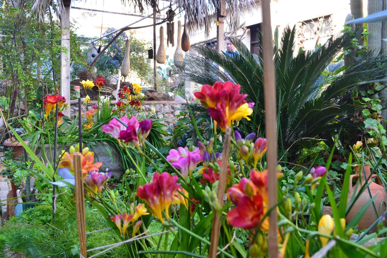 Mystery Garden Guest House Famagusta  Exteriör bild