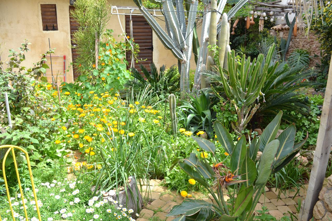 Mystery Garden Guest House Famagusta  Exteriör bild