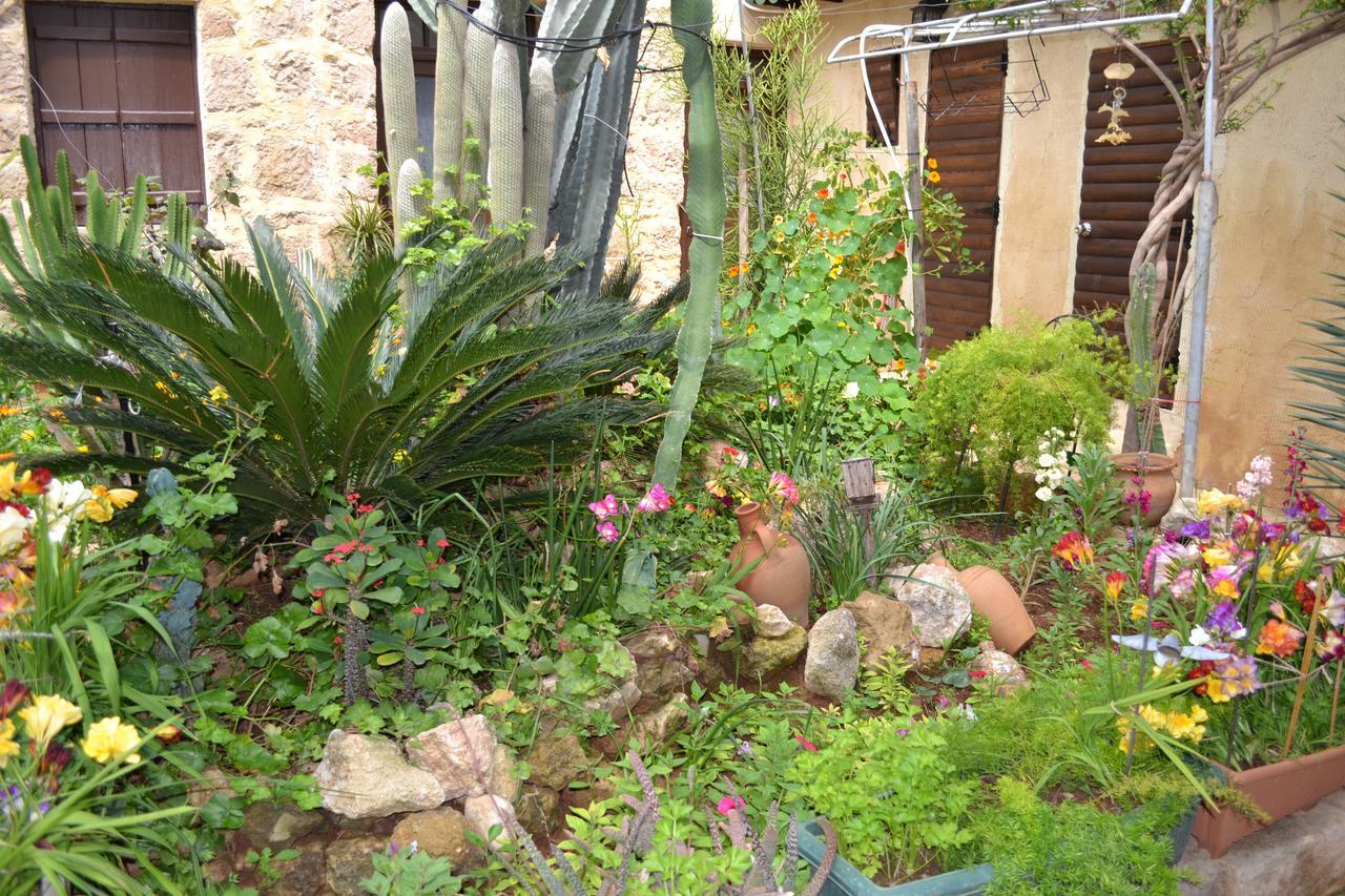 Mystery Garden Guest House Famagusta  Exteriör bild