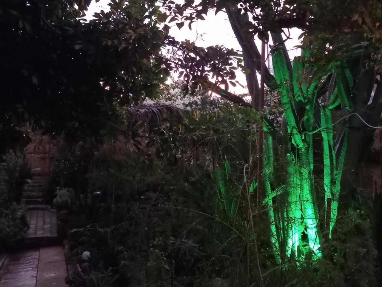 Mystery Garden Guest House Famagusta  Exteriör bild