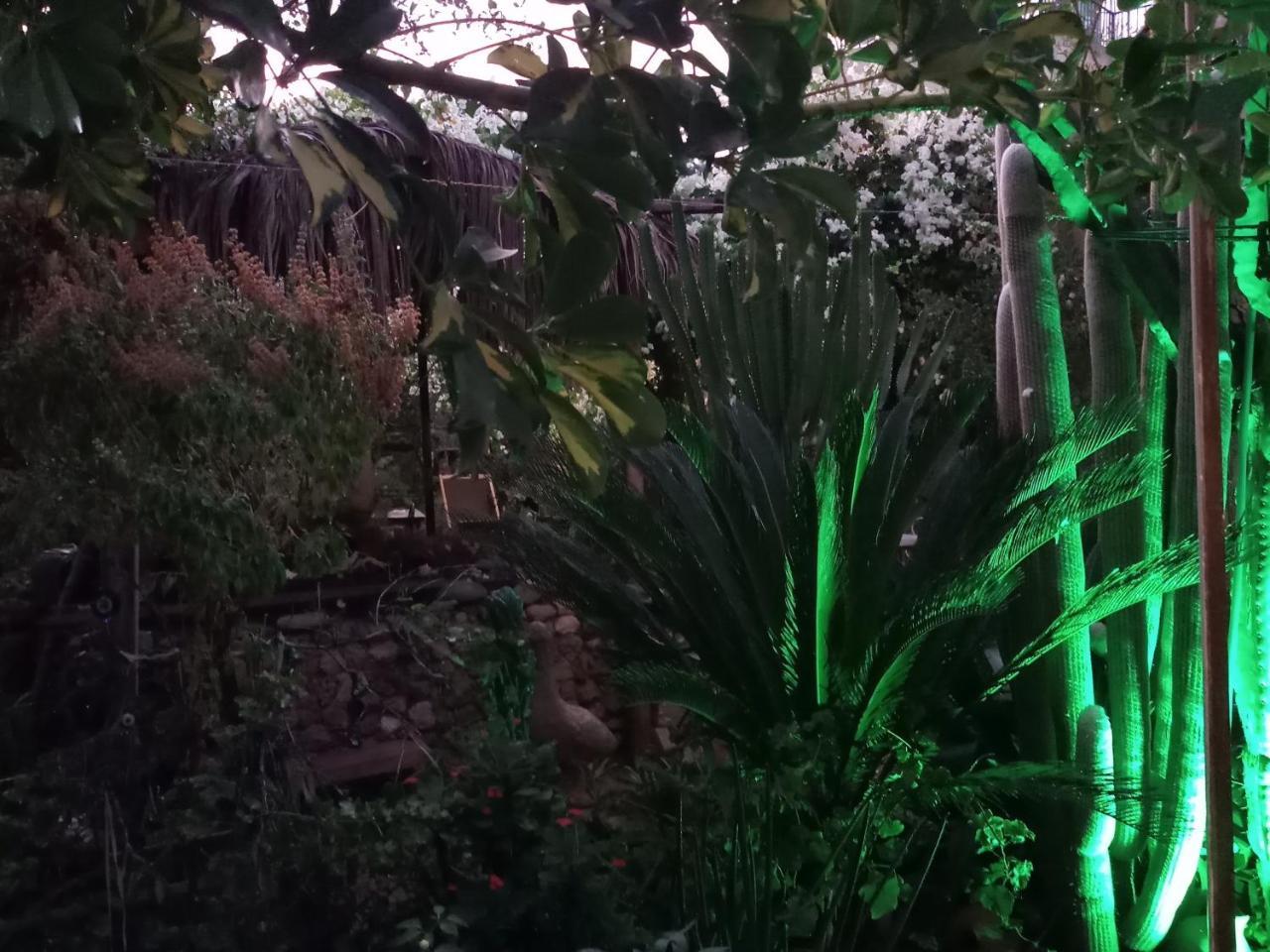 Mystery Garden Guest House Famagusta  Exteriör bild