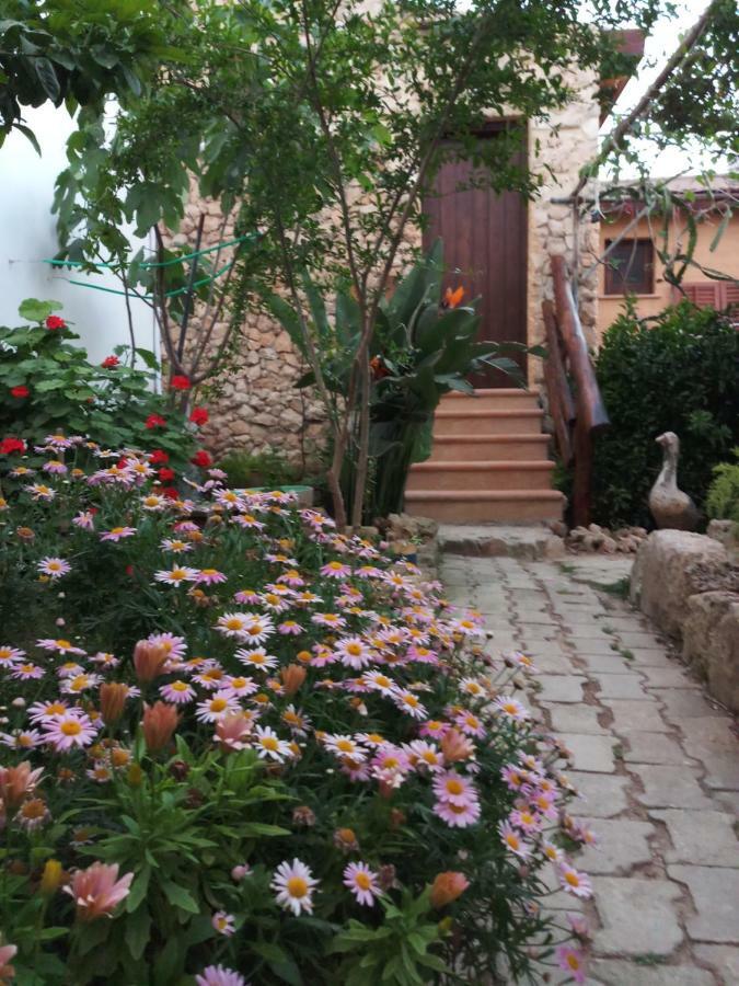 Mystery Garden Guest House Famagusta  Exteriör bild